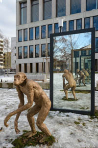 ? - Affe - Spiegel