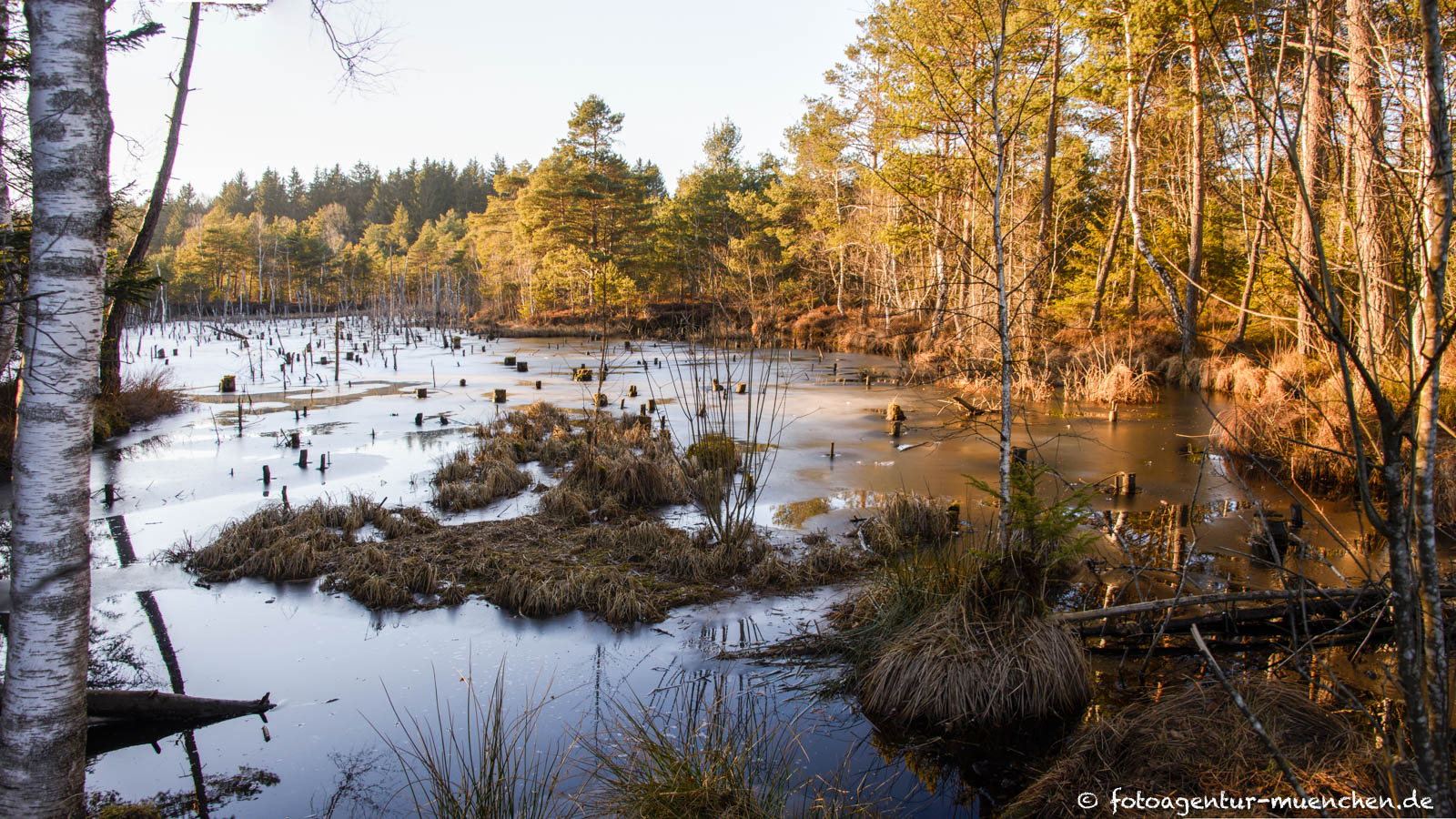 Weiher in den Spatenbräufilzen