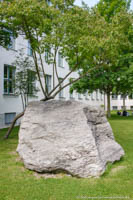Findling vor dem Geowissenschaftliches Institut – Foto aus München