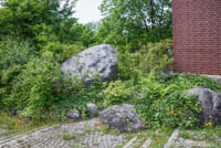 Gerhard Willhalm – 