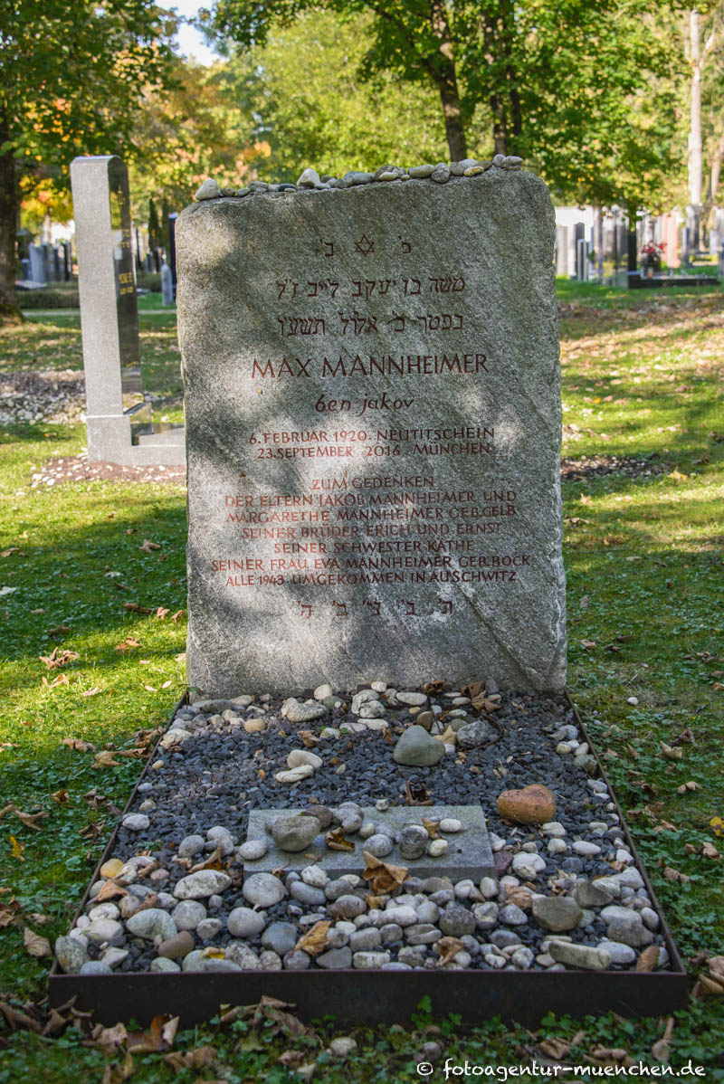 Mannheimer Max