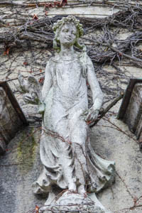 Gerhard Willhalm – Flora - Botanischer Garten