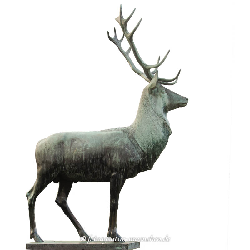 Hirsch (Bavariapark)