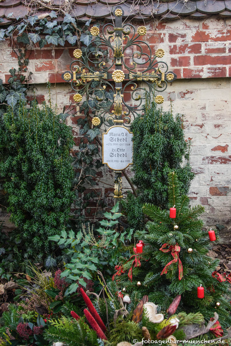 Schedl Otto