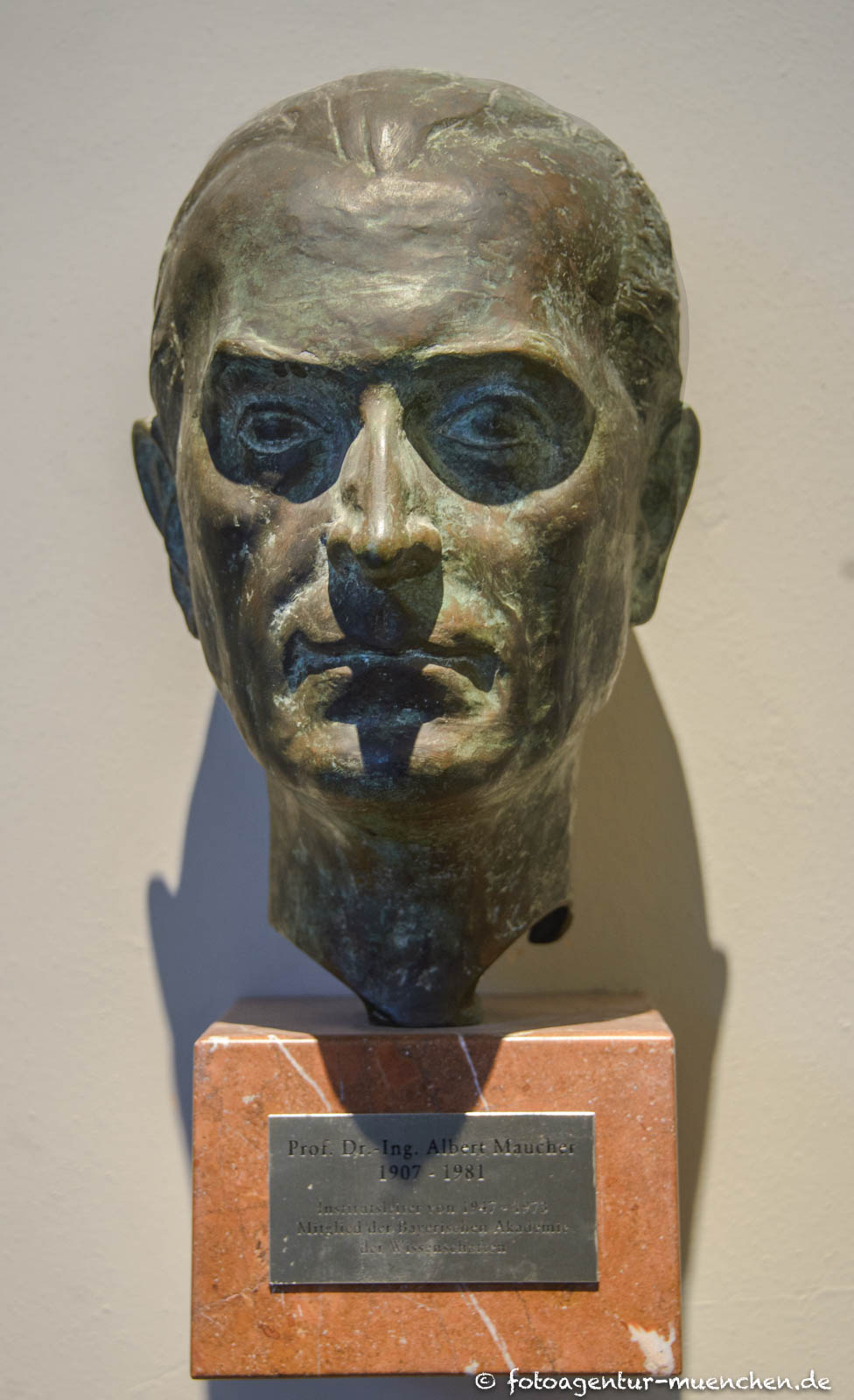 Büste - Albert Maucher