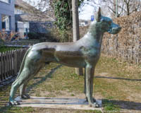 Der Hund – Foto aus München
