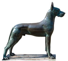 Der Hund – Foto aus München