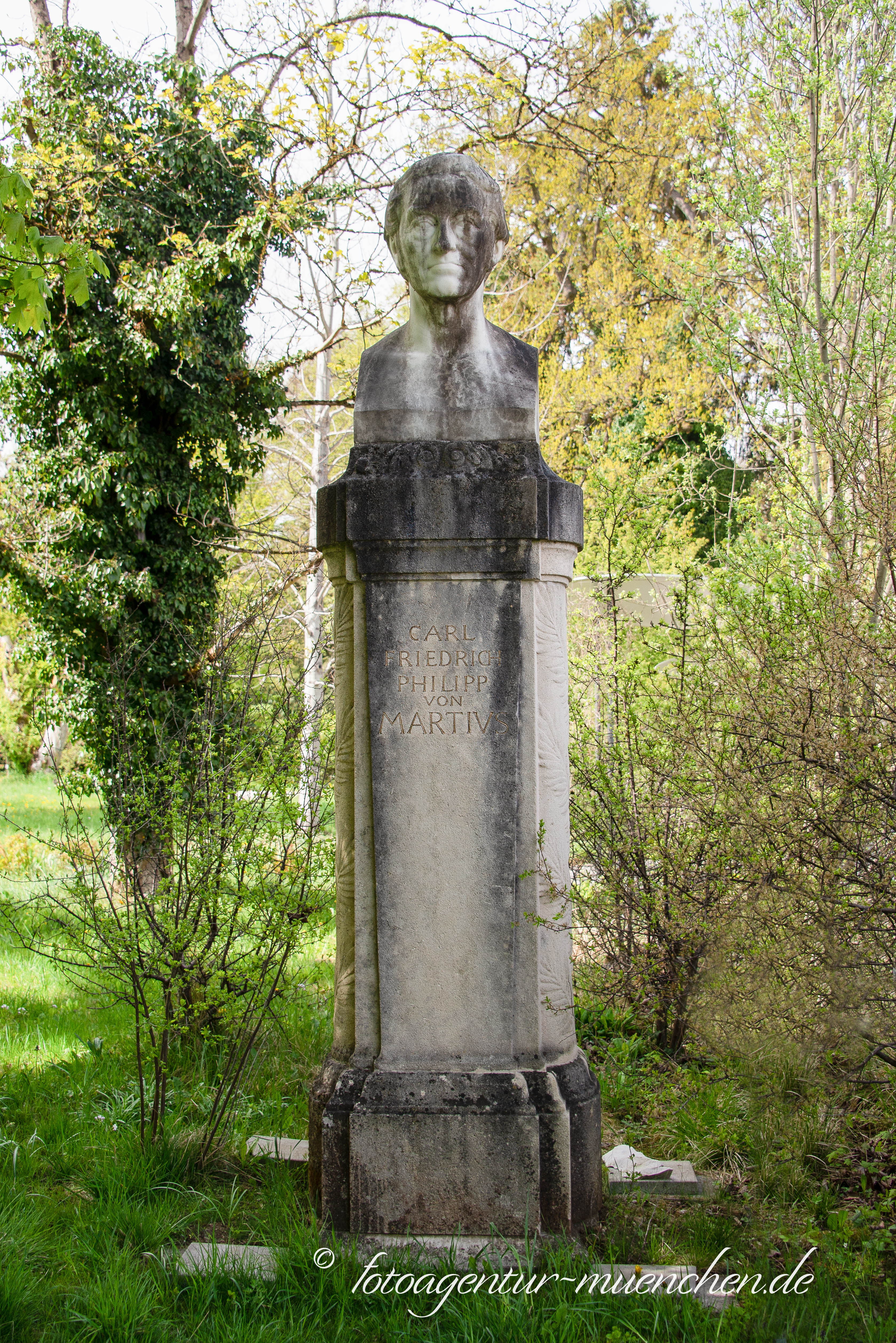 Carl Philipp Friedrich von Martius