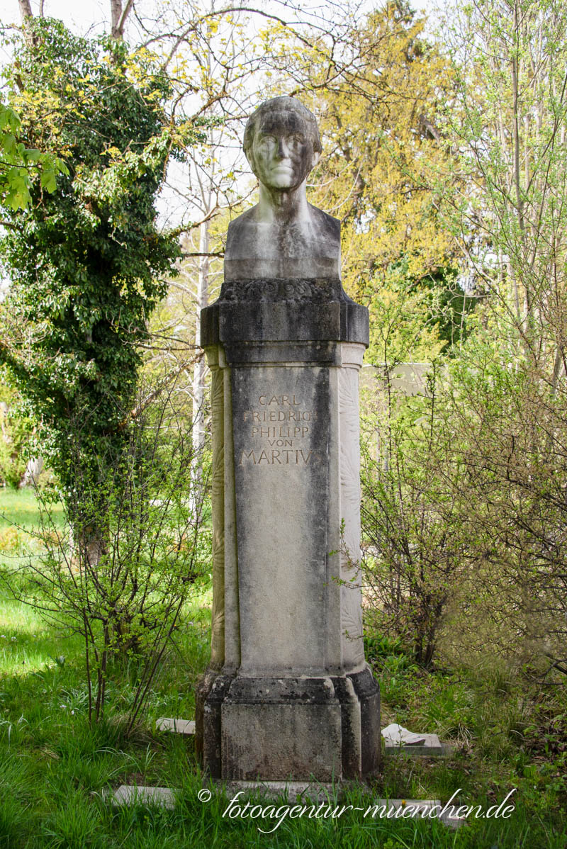 Carl Philipp Friedrich von Martius – Denkmal/Kunstwerk in München