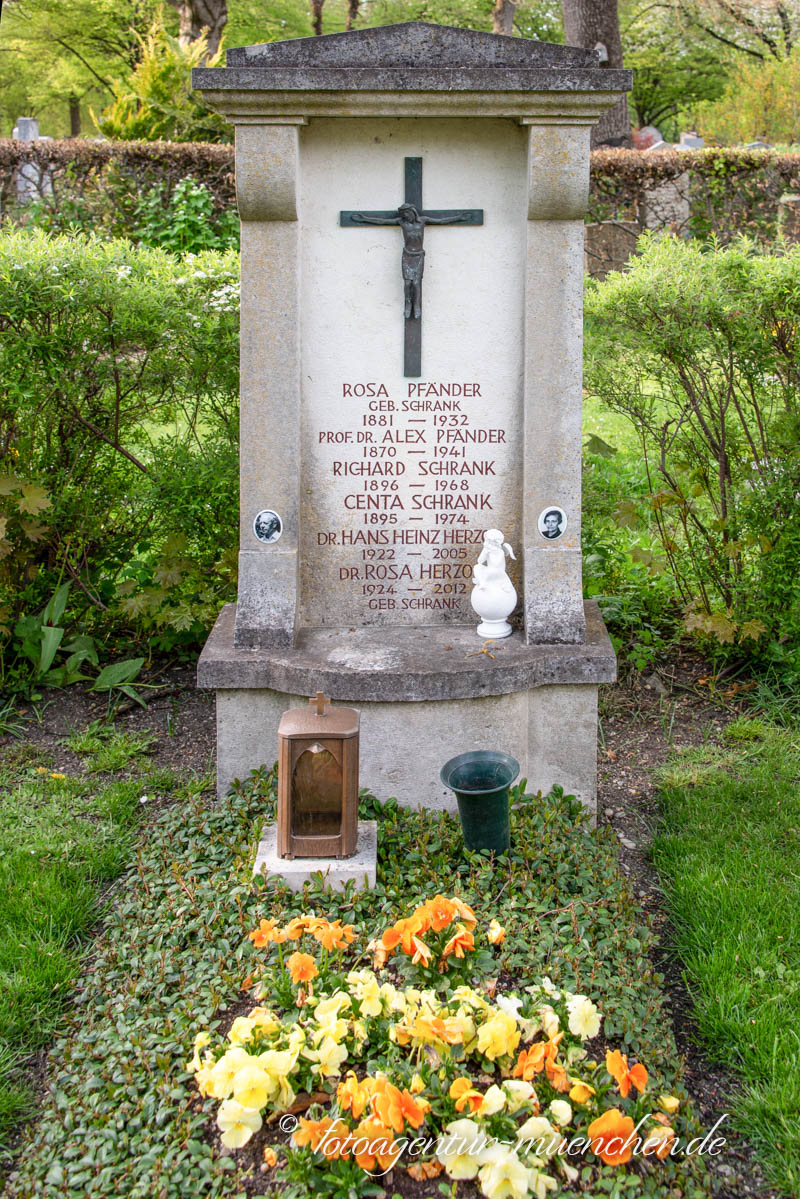 Pfänder Alexander