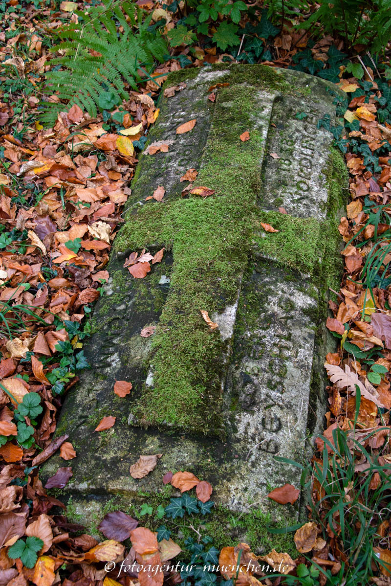 Beyschlag Robert