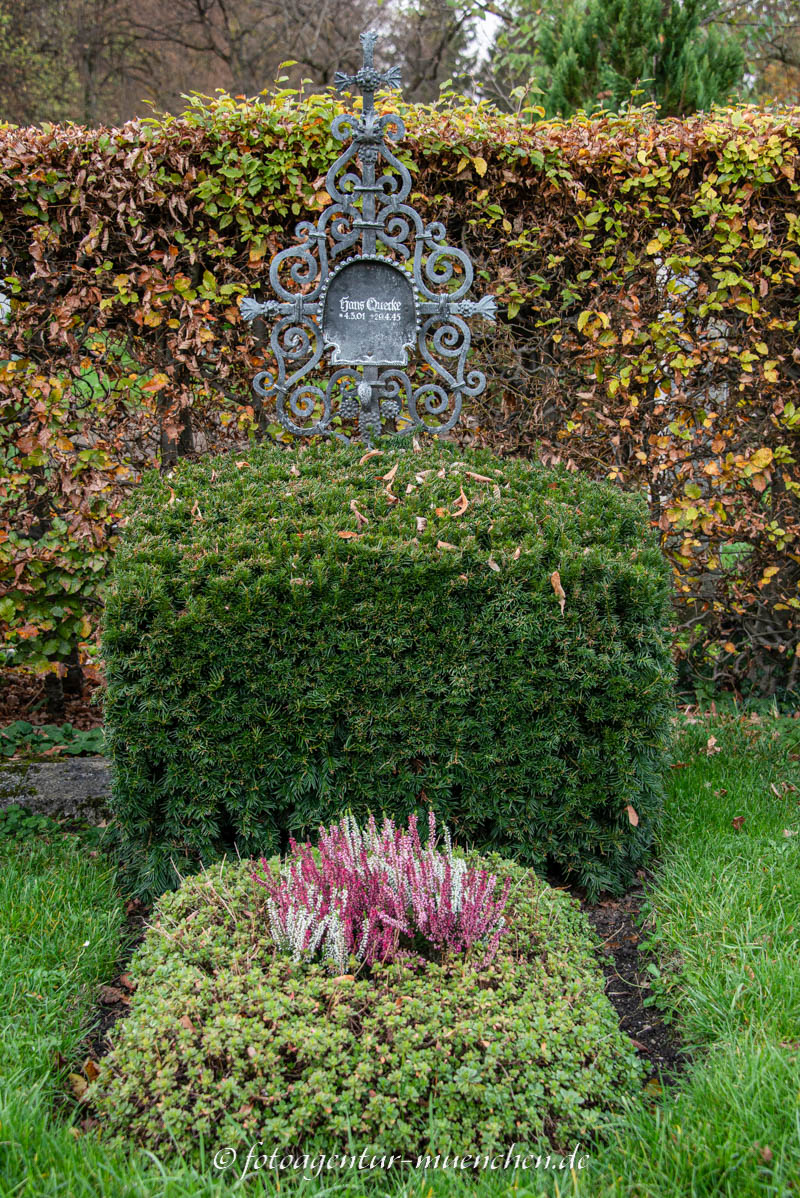 Quecke Hans