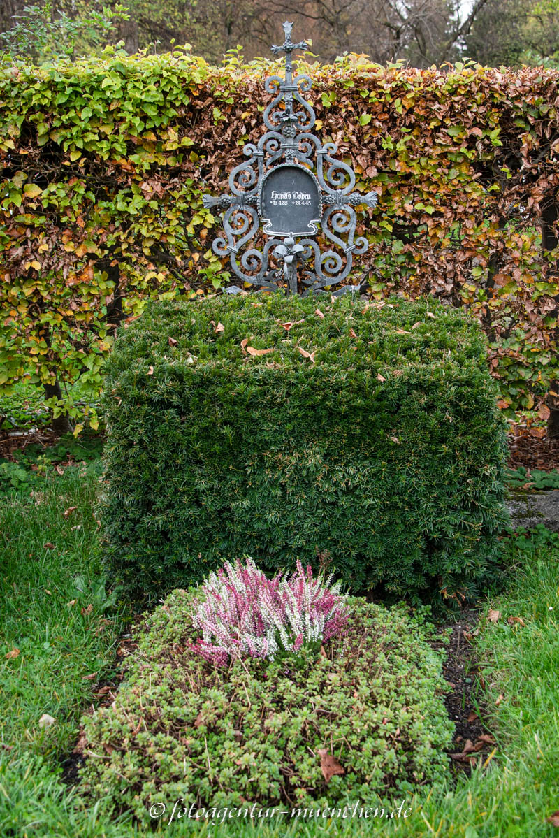 Dohrn Harald