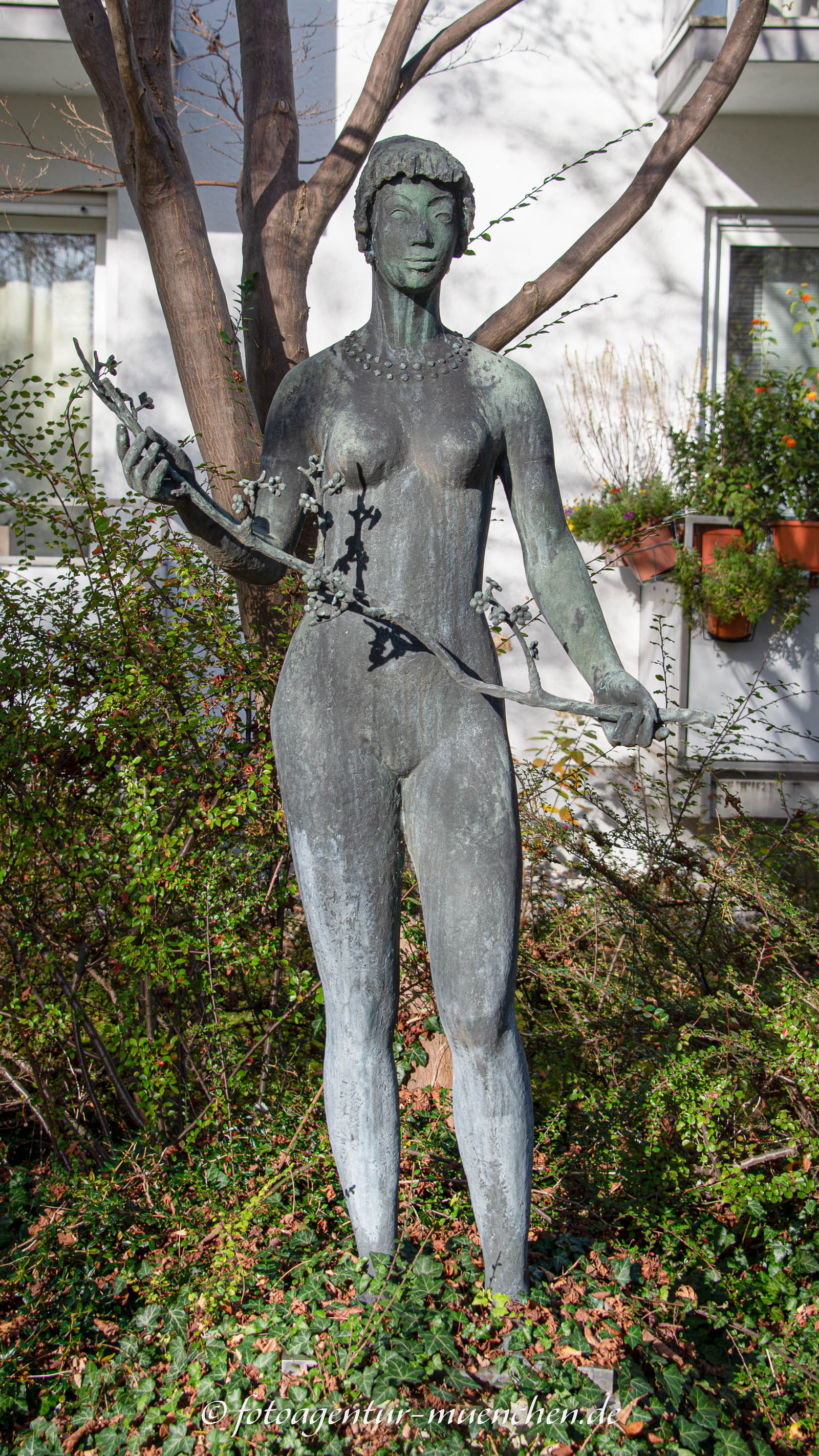Flora