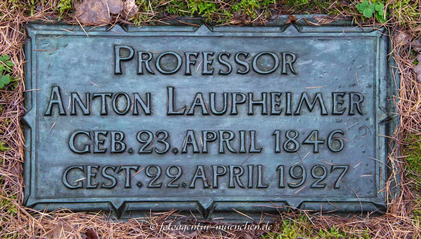 Laupheimer Anton