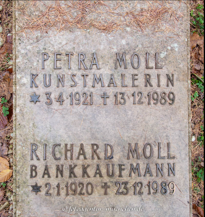 Moll Petra