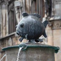 Fischbrunnen (Fisch) – Foto aus München