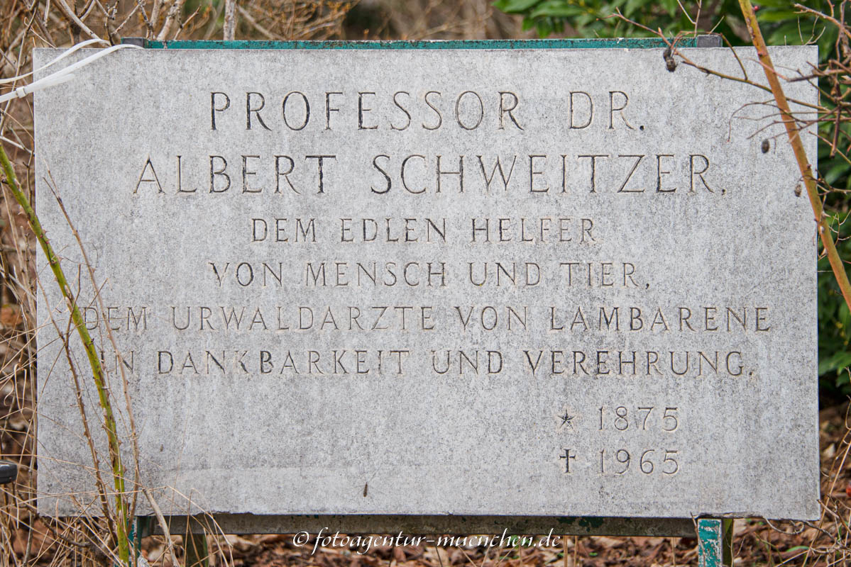 Gedenktafel - Albert Schweitzer – Denkmal/Kunstwerk in München