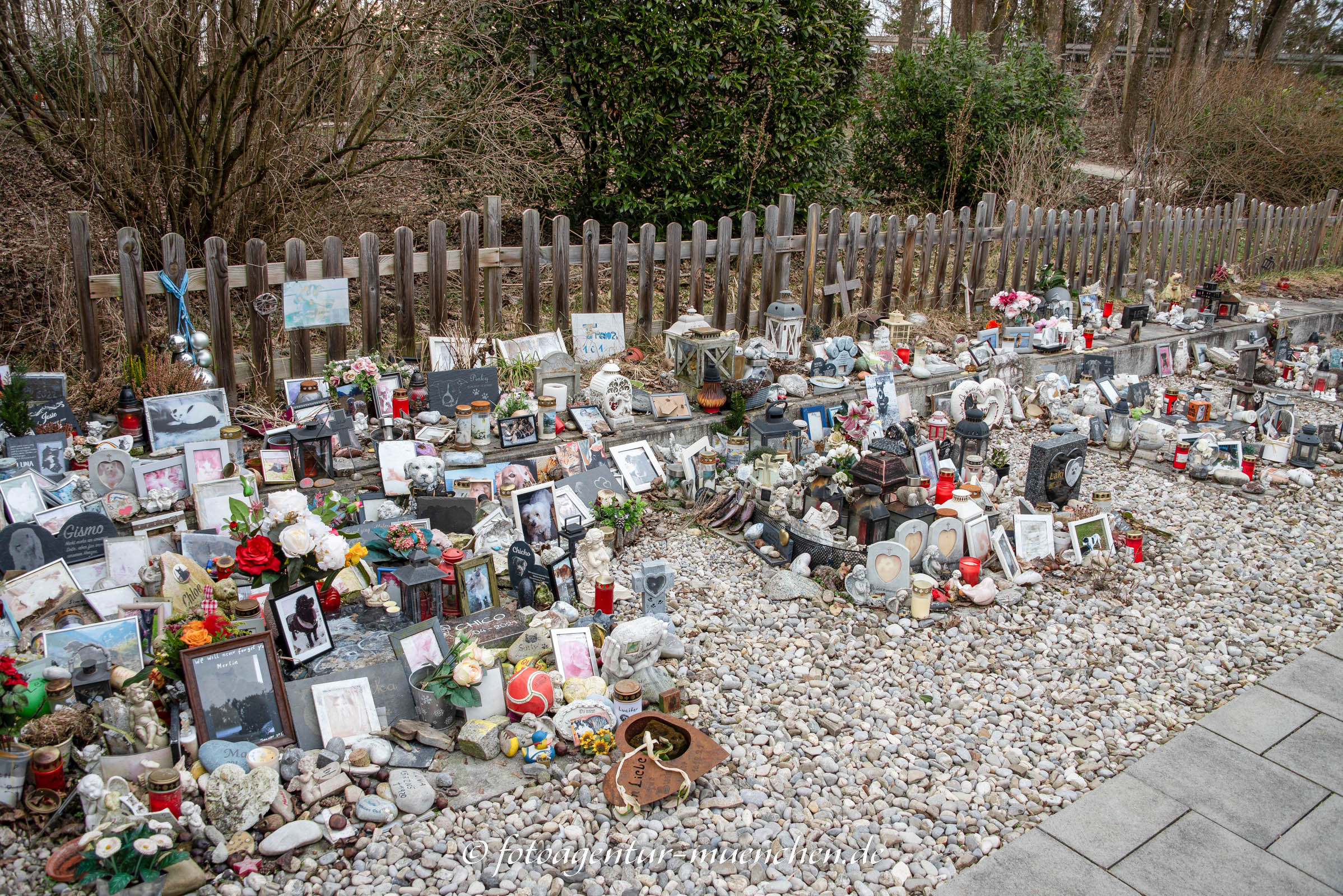 Tierfriedhof