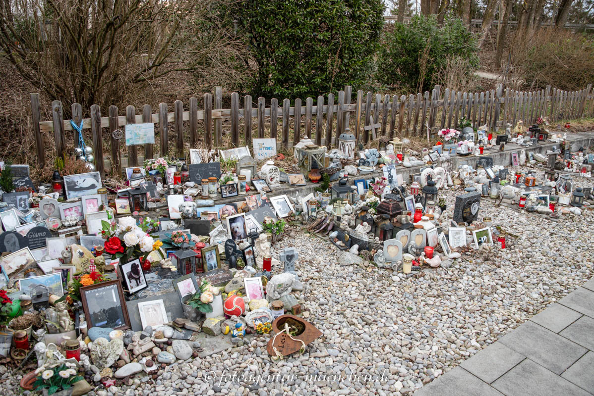 Tierfriedhof - Tiertrauer