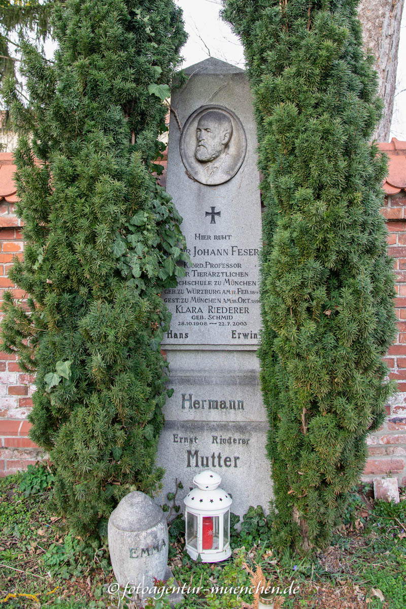Feser Johann