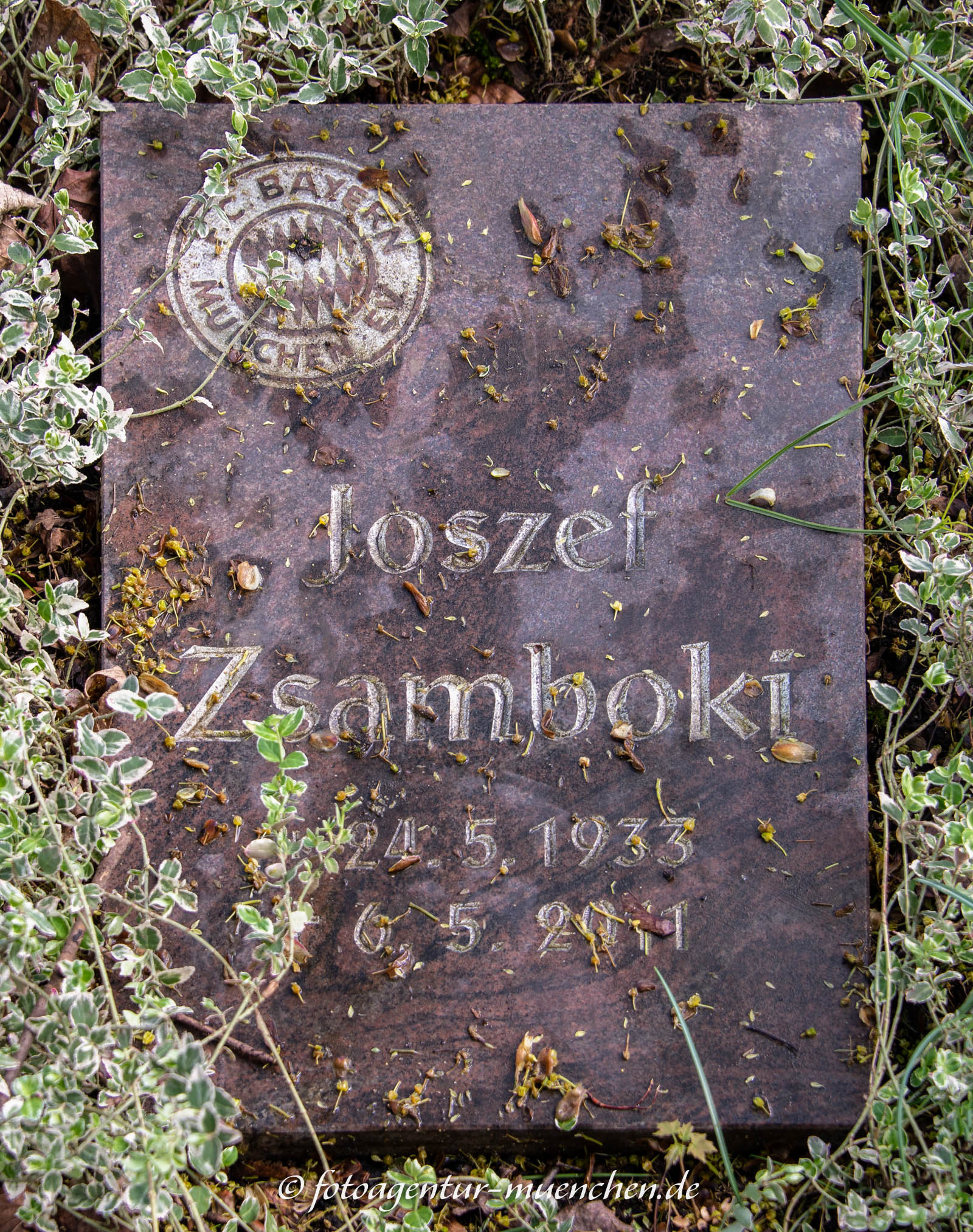 Grab - Josef Zsamboki