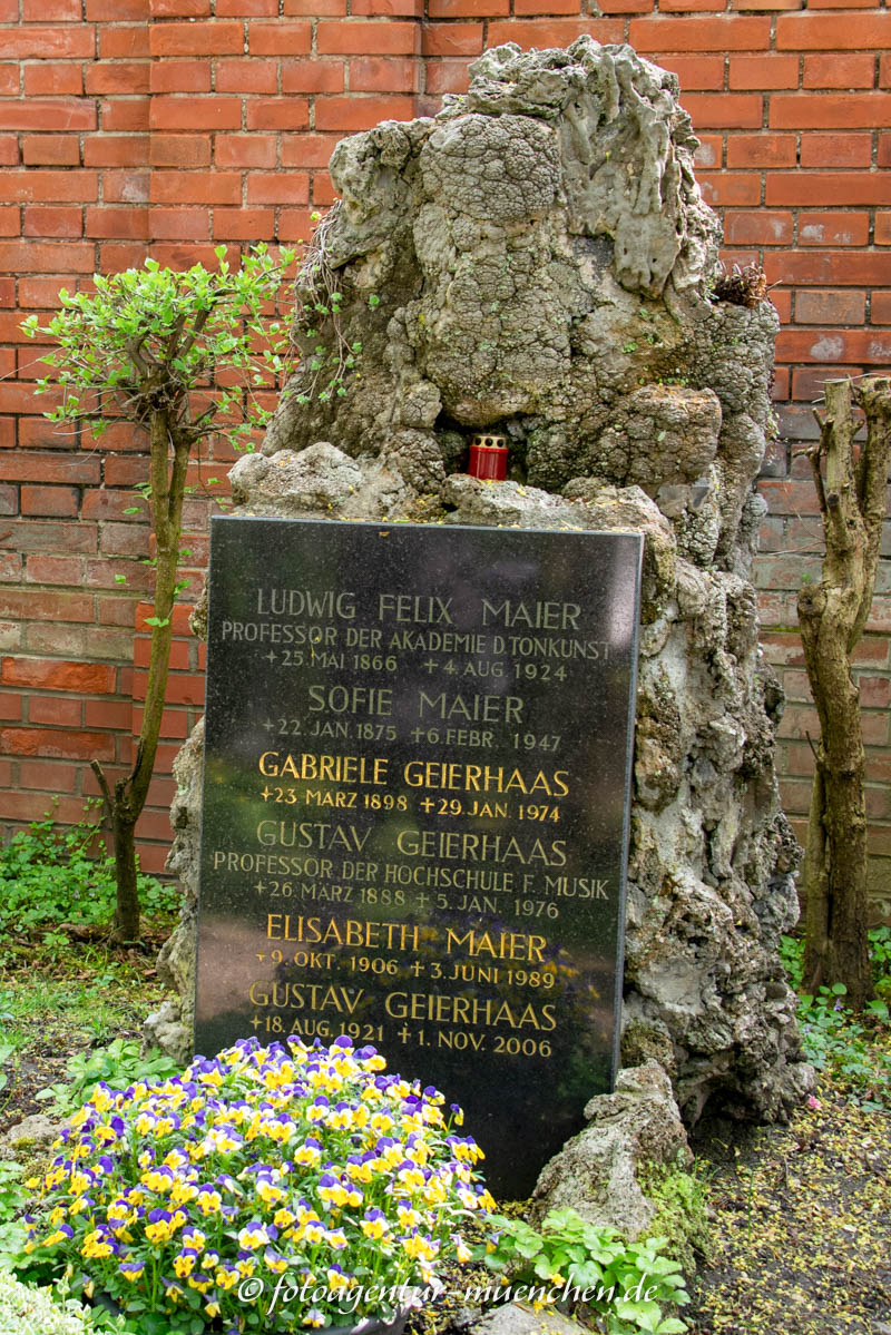 Geierhaas Gustav