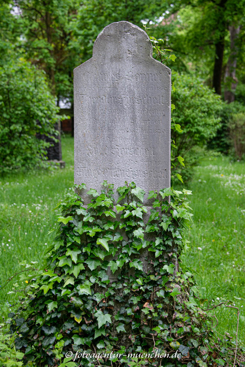 Horschelt Theodor