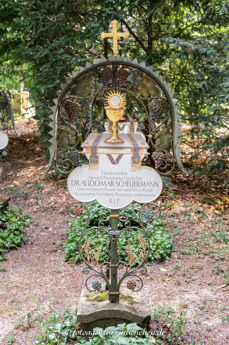 Scheuermann Audomar