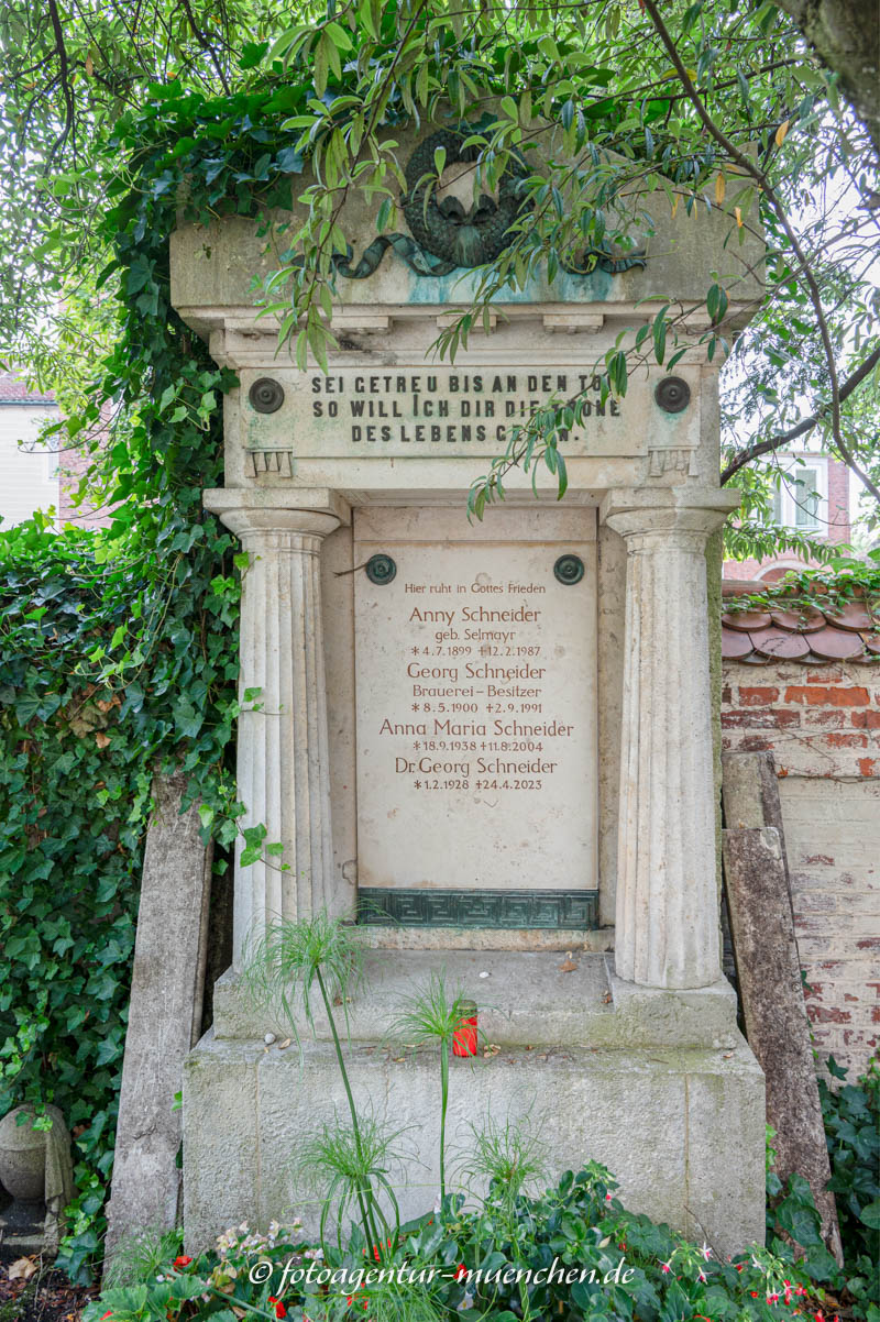 Schneider Georg