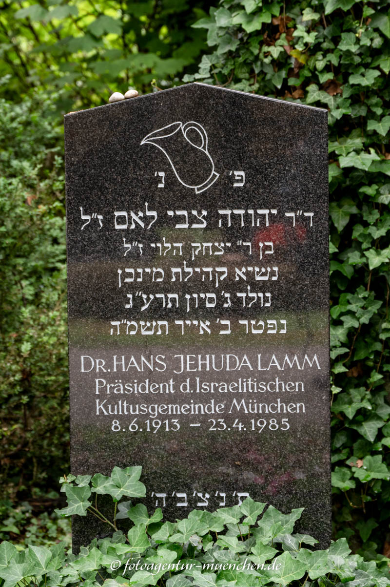 Lamm Hans