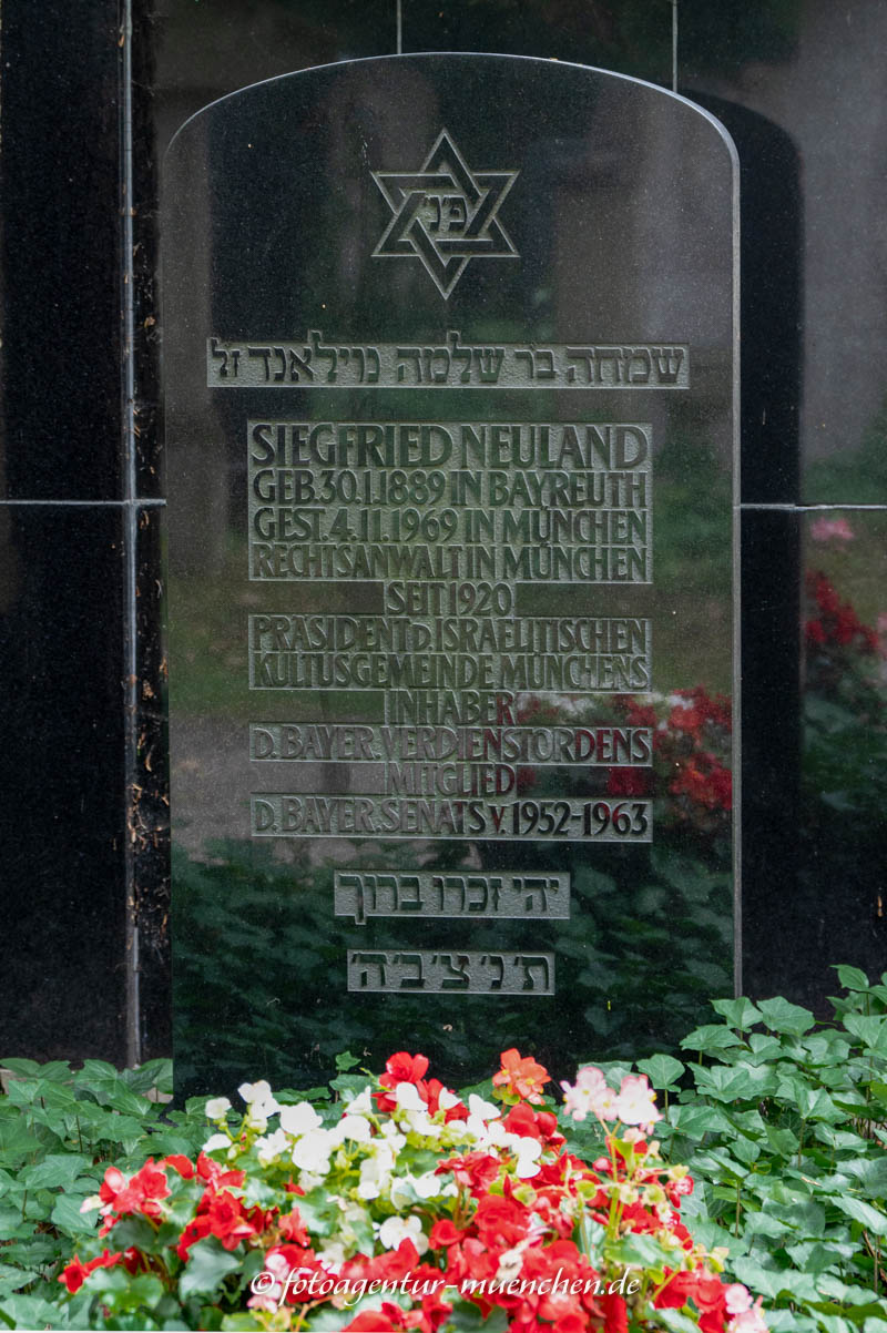Neuland Siegfried