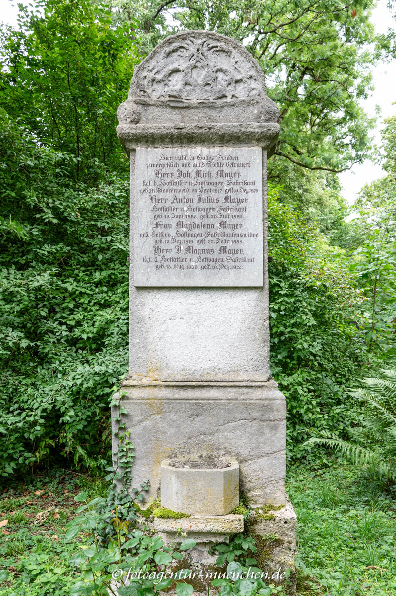 Mayer Ignaz Magnus
