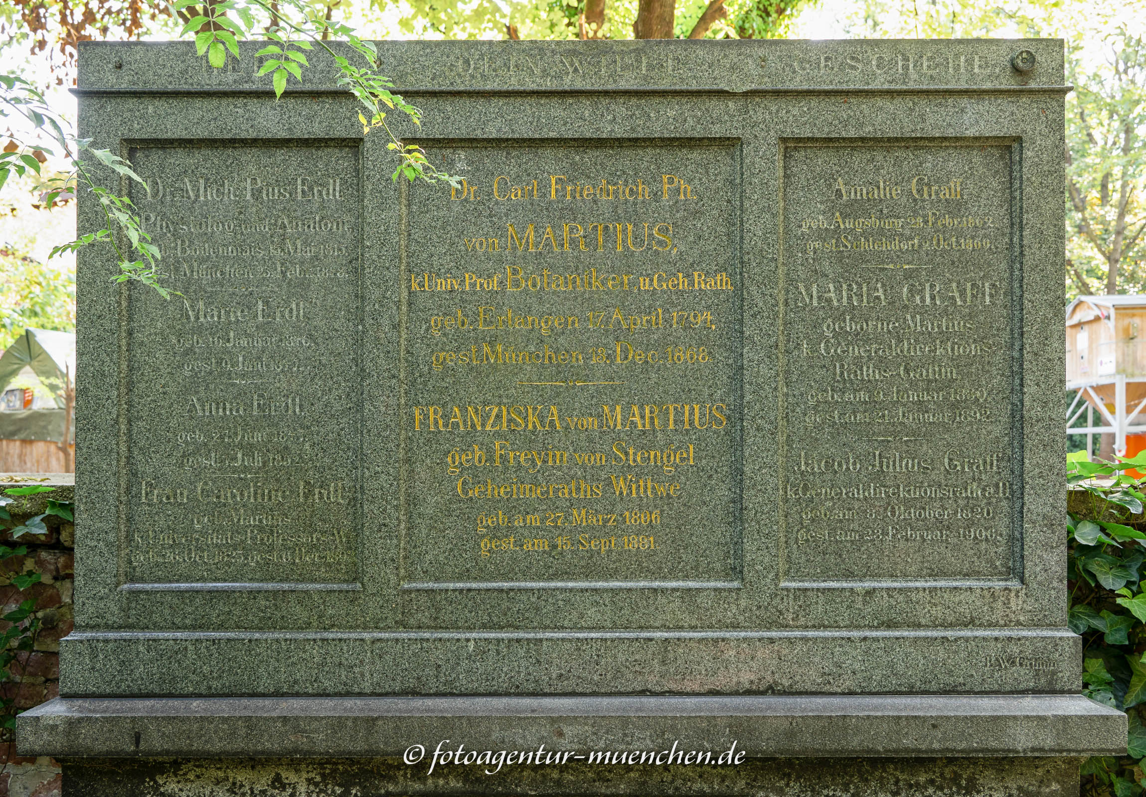 Carl Friedrich Philipp von Martius