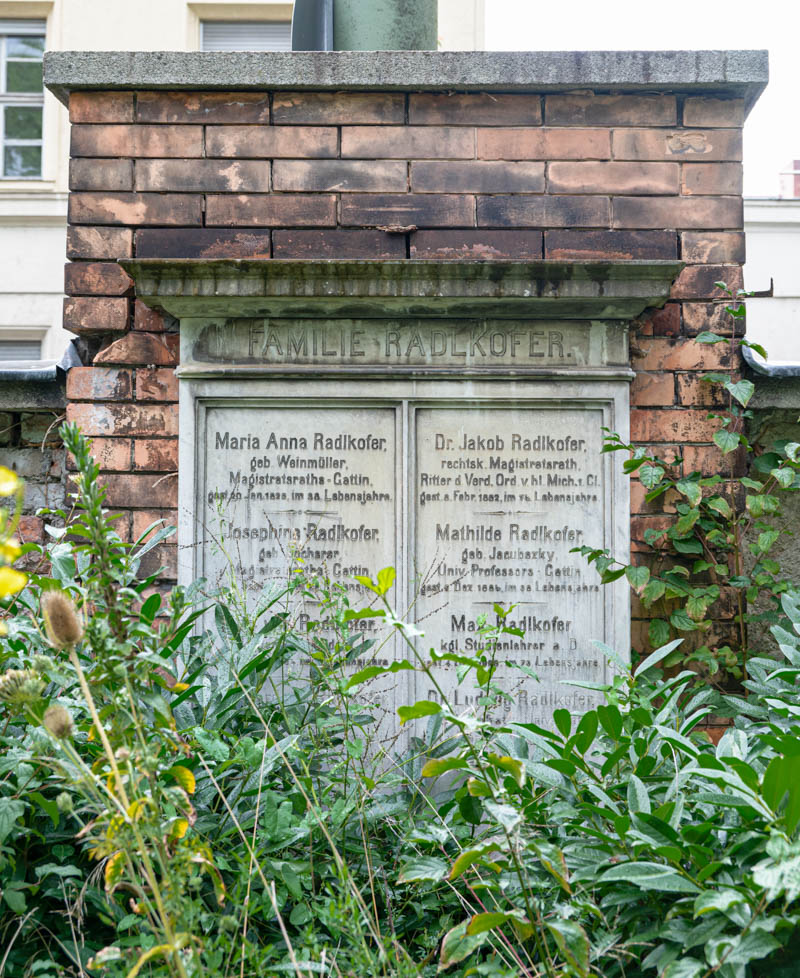 Radlkofer Ludwig