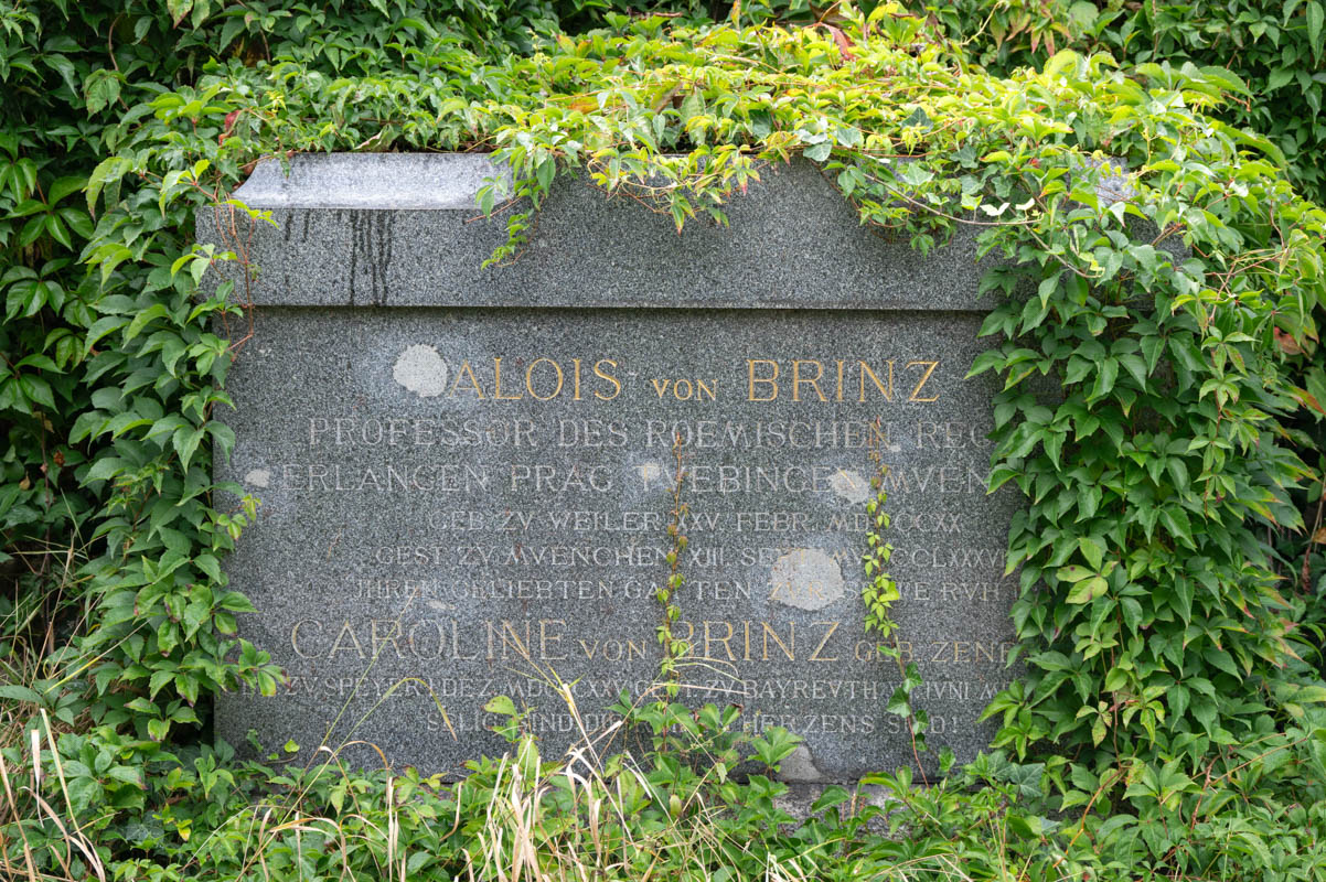 Brinz Alois von