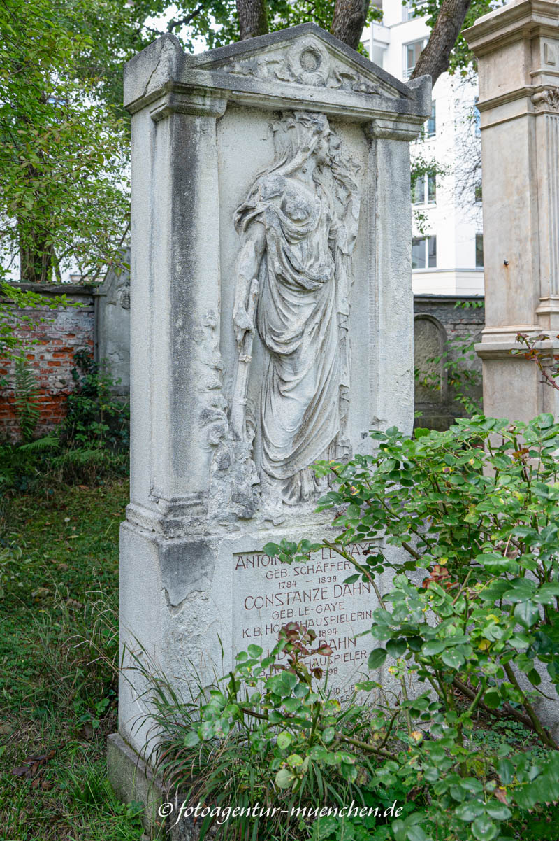 Dahn Constanze