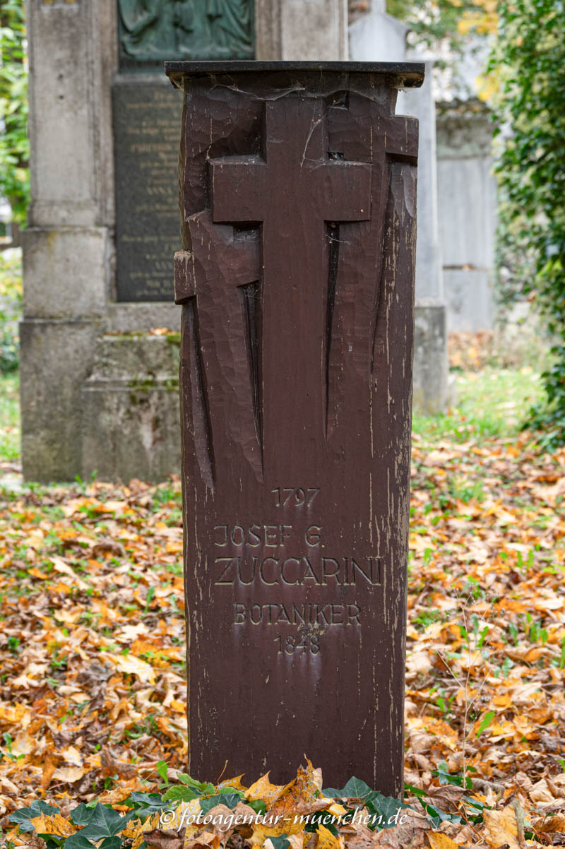 Zuccarini Joseph Gerhard