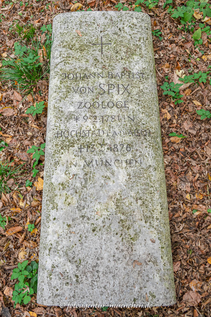 Spix Johann Baptist von
