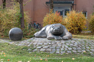 Eisbär – Foto aus München