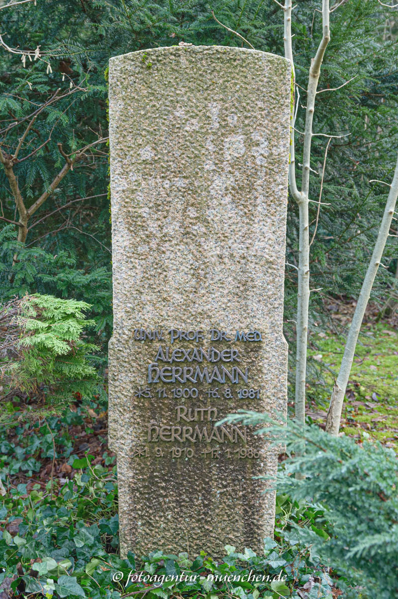 Hermann Alexander
