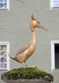 Haubentauscher – Foto aus München