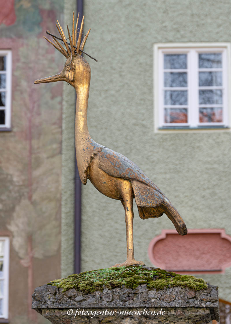 Reiher
