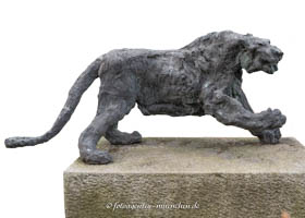Löwin – Foto aus München