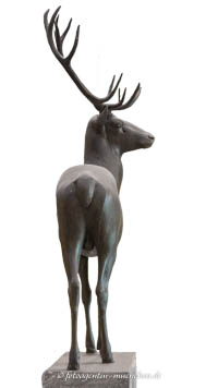 Hirsch – Foto aus München