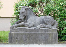 Fohlen – Foto aus München