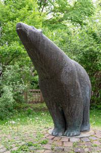 Eisbär – Foto aus München