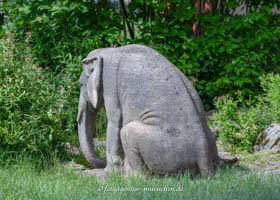 Sitzender Elefant – Foto aus München