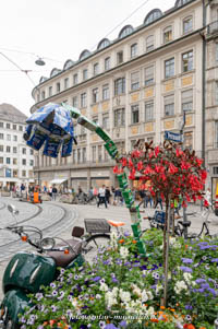 Dietl Foragedstyle Alexandra - Biodiversität