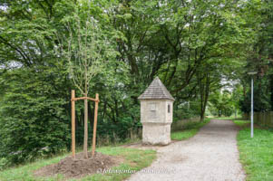 Korbiniansapfelbaum – Foto aus München